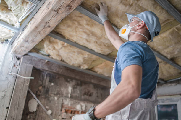 Best Insulation Maintenance and Repair in Arkoma, OK