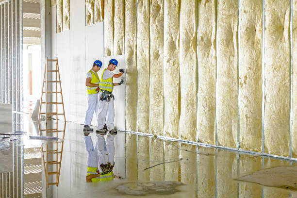 Types of Insulation We Offer in OK